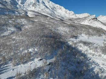 Şırnak'ta kar yağdıktan sonra fark edildi: Herkes oraya koştu