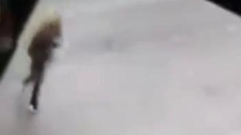 Bursa'da skandal kaza: Alkollü araç kullanırken kaza yaptıktan sonra Türk kahvesi içti!