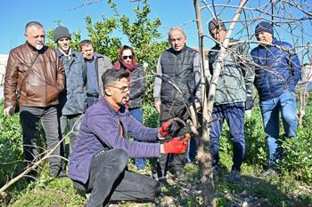 ATASEM’de uygulamalı ağaç budama eğitimi