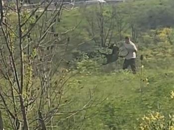 Çevredekileri aldırış etmedi: Avcılar'da köpeğe kemerli dehşet!