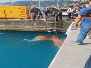 Sarıyer'de denizde fenalaştı: Sahil güvenlik son anda kurtardı