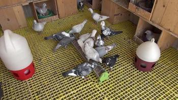 Telefon bağımlılığından bu sayede kurtuldu! 'Hayatım birden bire değişti'