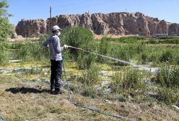 Van'da vektörle mücadele çalışmaları devam ediyor