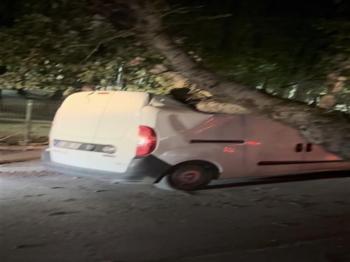 Fırtına Sancaktepe'de esti: Ağaçlar araçların üzerine devrildi