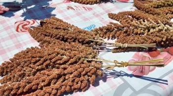 İlk kez denedi, beklediğinden fazlasını aldı! Alternatif ürün yüzünü güldürdü