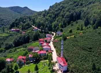 Ordu kırsalında görülmemiş çalışma: 2 kilometrede kendini gösterdi