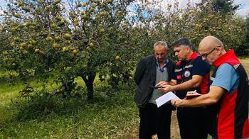 Adana'da narenciye ve tarım bahçelerini dolu vurdu! Hasar için ön tespit çalışması başladı