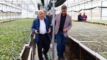 500 bin fide üreticilere ücretsiz dağıtılacak!