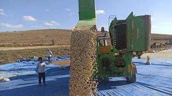 Nevşehir'in eşsiz lezzeti coğrafi işaret tescili aldıktan sonra üretim alanını katladı