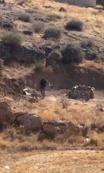 Sivasta o görüntüler sonrası harekete geçildi: 4 aylık köpeğe şiddet uygulayan zanlı gözaltında
