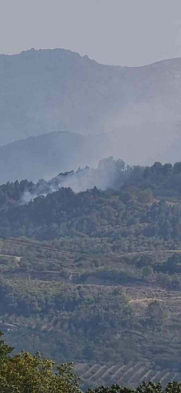 İnegöl’de korkutan orman yangını: Ekipler havadan ve karadan seferber oldu