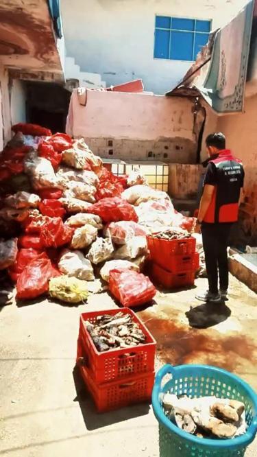 Adanada mide bulandıran görüntüler Tonlarca paça ve bağırsak ele geçirildi