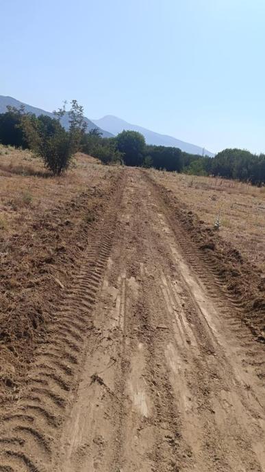 UNESCO mirası Afrodisiasa yangın kalkanı: Antik kent için seferberlik ilan edildi
