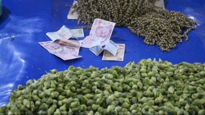 Ancak gramla alınabiliyor: Kıymetini sadece kadınlar biliyor, 2 bin 500 ton üretimi var