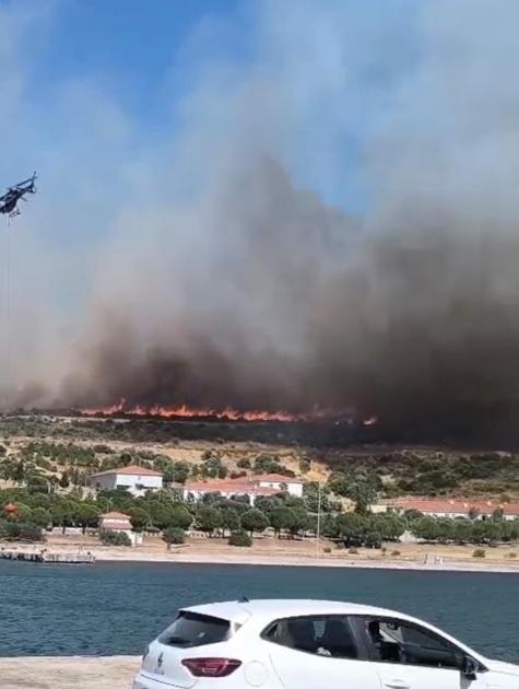 İzmir Foçada orman yangını: Havadan ve karadan müdahale ediliyor