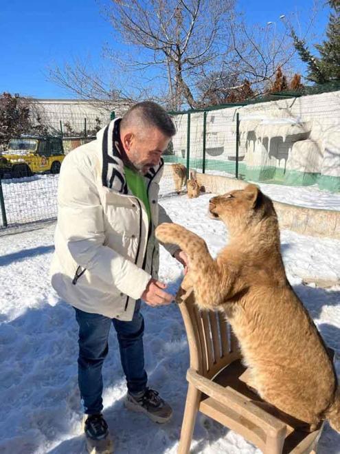 Antalyadaki aslan saldırısının ardından sahibi konuştu: İnsanlara saldırmazdı, sosyal bir hayvandı