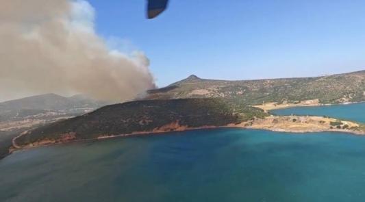 İzmir Foçada orman yangını: Havadan ve karadan müdahale ediliyor
