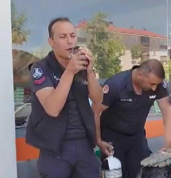 Erzurumda yürekleri burkan görüntüler Erzurum İtfaiyesi yavrular için seferber oldu, anne kedi bir an olsun başlarından ayrılmadı