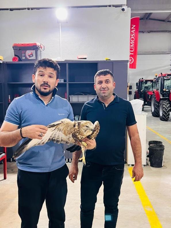 Tarlada gördüklerine inanamadılar: Konyalı çiftçi sayesinde hayata döndü