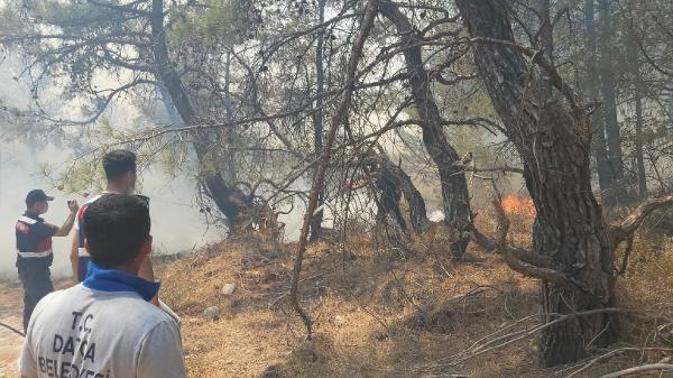 Datça’da orman yangını çıktı Ekipler müdahale ediyor, bölgedeki evler tahliye edildi