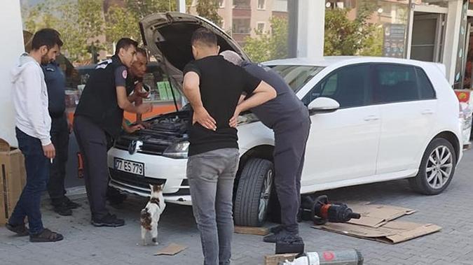 Erzurumda yürekleri burkan görüntüler Erzurum İtfaiyesi yavrular için seferber oldu, anne kedi bir an olsun başlarından ayrılmadı