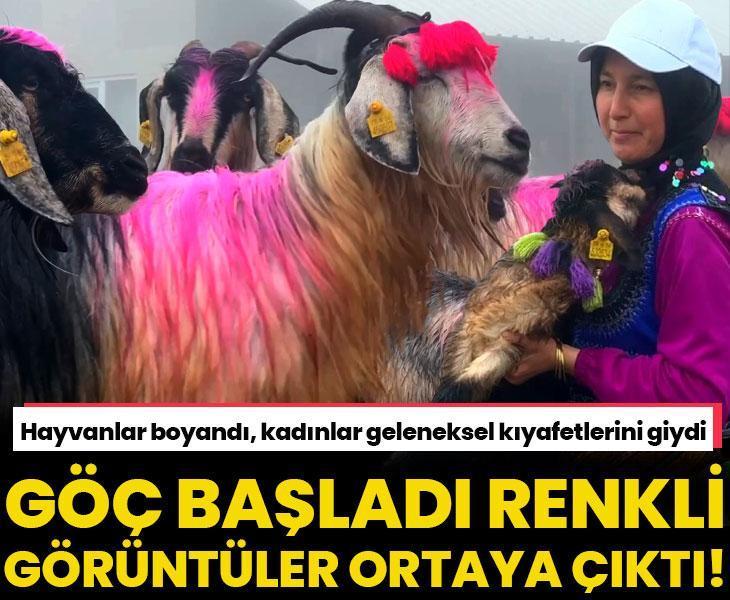 Sakarya'da yaylalara göç başladı! Rengarenk görüntüler ortaya çıktı