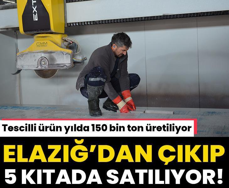 Elazığ'dan çıkıp 5 kıtada 65 ülkeye satılıyor! Tescilli ürün yılda 150 bin ton üretiliyor