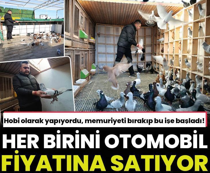 Hobi olarak yapıyordu, memuriyeti bırakıp bu işe başladı! Her birini otomobil fiyatına satıyor