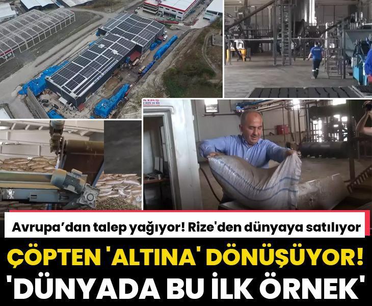 Rize'de üretip dünyaya satıyor, milyonlar kazanıyor! Çöpten 'altına' dönüşüyor, dünyada ilk...