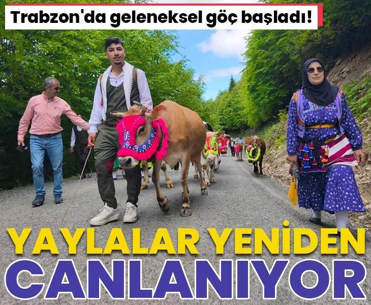 Trabzon'da geleneksel göç başladı! Yaylalar yeniden canlanıyor