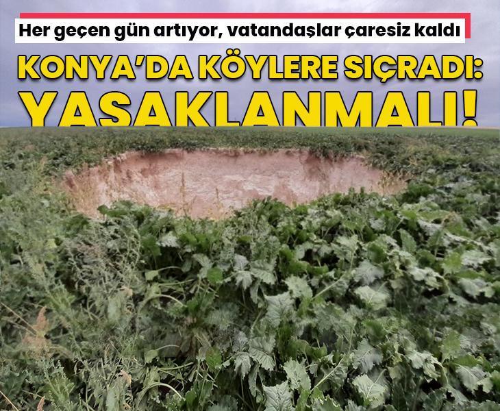 Her gün yeni kabusa uyanıyor! Konya&amp;#x27;da köylere sıçradı, &amp;#x27;yasaklanmalı&amp;