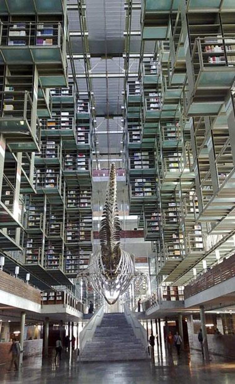 José Vasconcelos Library - Meksika