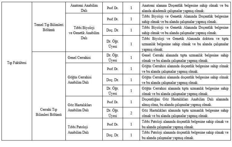 İstanbul Aydın Üniversitesi, birçok fakültesi için öğretim üyesi alımı yapacak