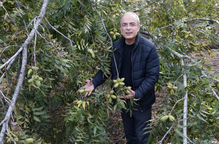 Artık Türkiyede üretiliyor Kolesterole iyi geliyor Fiyatı ise 40 TL