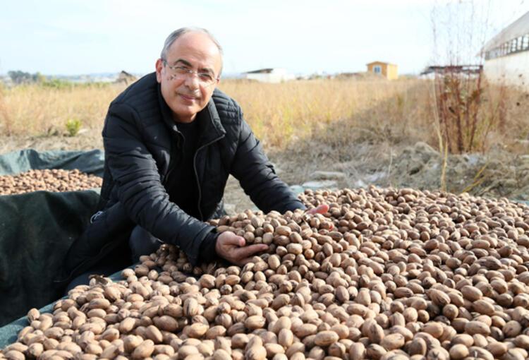 YOK YILI VE ÇÖL SICAKLARI ETKİLEDİ