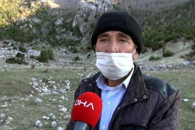 Günlük 500 lira kazanıyorlar Defne yaprağı...