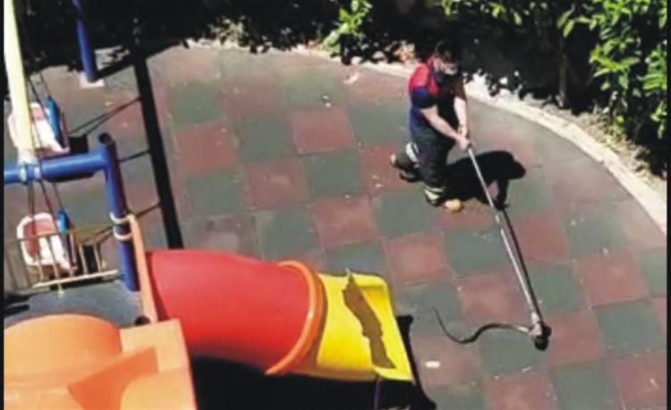 ÇOCUK PARKINDA YILAN PANİĞİ