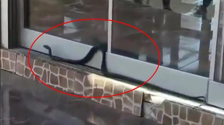 ANTALYADA YILAN İŞ YERİNE GİRMEYE ÇALIŞTI