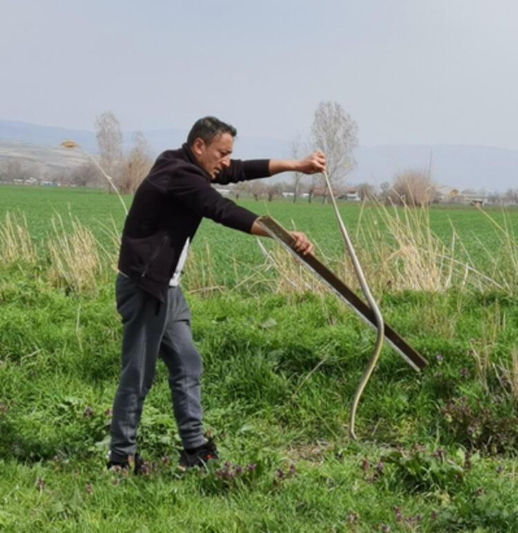 Dünyanın en zehirlisi Çiftçiler şok oldu, birbirlerine sarılmış halde...