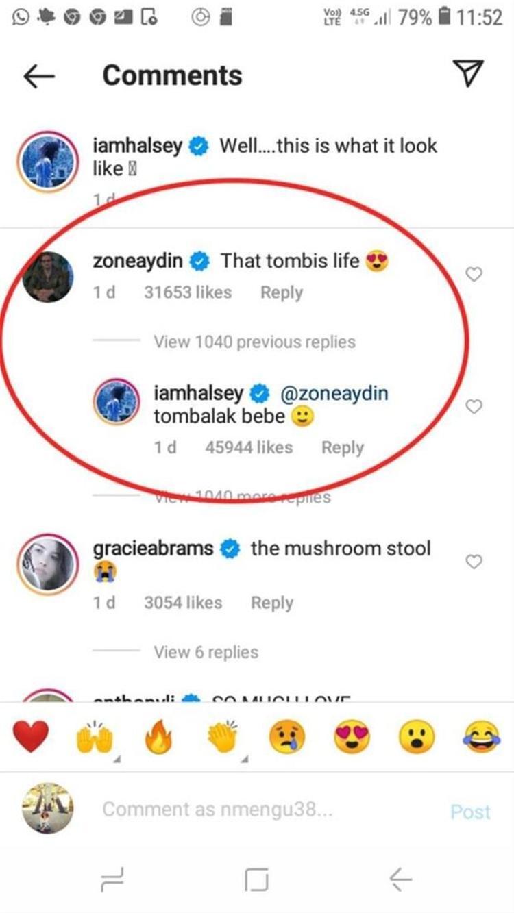 Halsey, Türkçeyi ilerletti Tombalak bebek