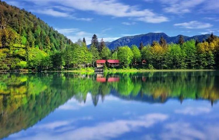 Artvin 30,68