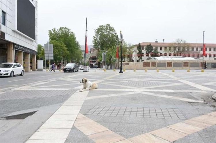 Malatya 32