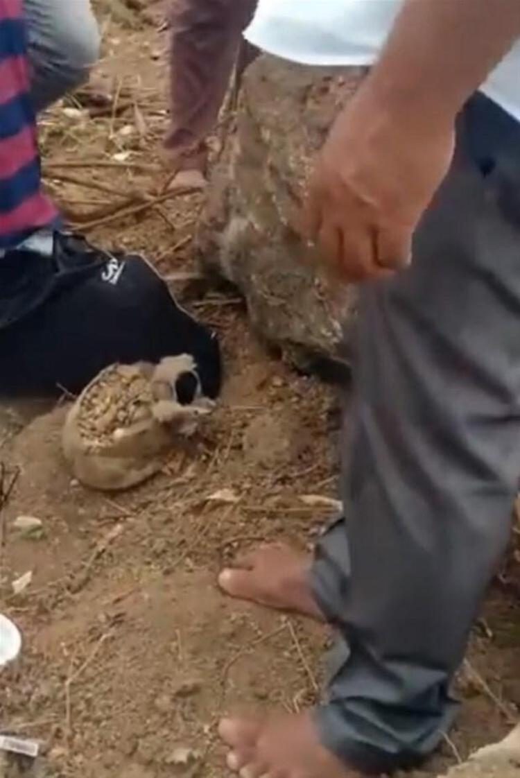 Pembarthi köy meclisi üyesi Anjaneyula Goud, bölgede kazı yapılması halinde daha fazla hazine bulunacağını söyledi ve ekledi: Geçmişte burada bir tapınağın olduğundan söz edilmişti. Pek çok kişi buna inanmamıştı. Ancak söz konusu çömleğin ortaya çıkmasından sonra bundan eminiz.