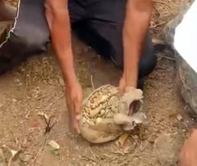 Jangaon bölgesine bağlı Pembarthi köyünde bulunan çömlekten yaklaşık 190 gram ağırlığında altın; 1,72 kilogram ağırlığında gümüş takılar çıktı. Yaklaşık bir metre derinlikte bulunan eşyalar daha sonra yetkililere teslim edildi.