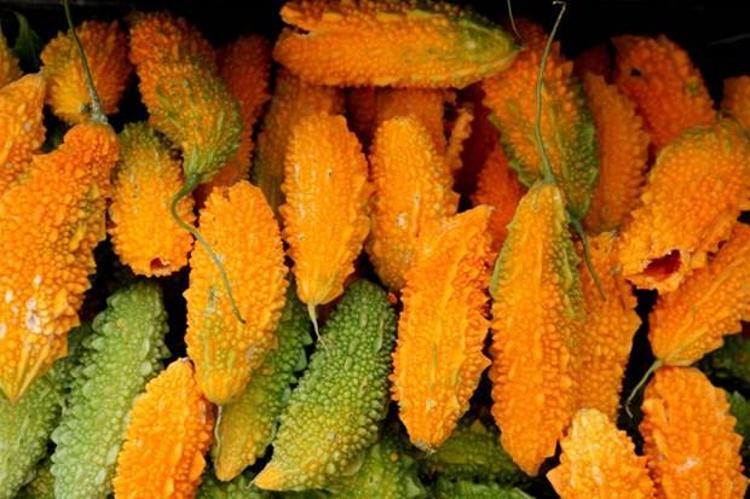 Kudret narı, değişik görüntüsü nedeniyle halk arasında acayip elma olarak adlandırılan tropik iklimlerde yetişen bir bitkidir. Ülkemizde de yetişen kudret narı, içerdiği vitaminler ve mineraller ile sağlığımıza çok faydası bulunur.