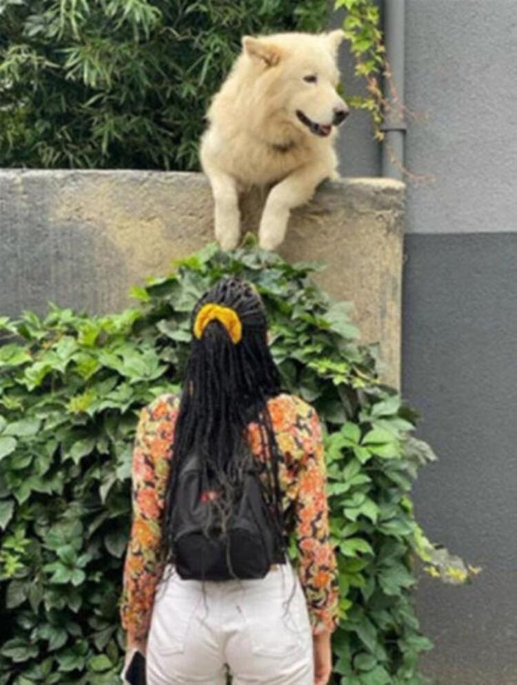 Halseyden yeni hamilelik pozu