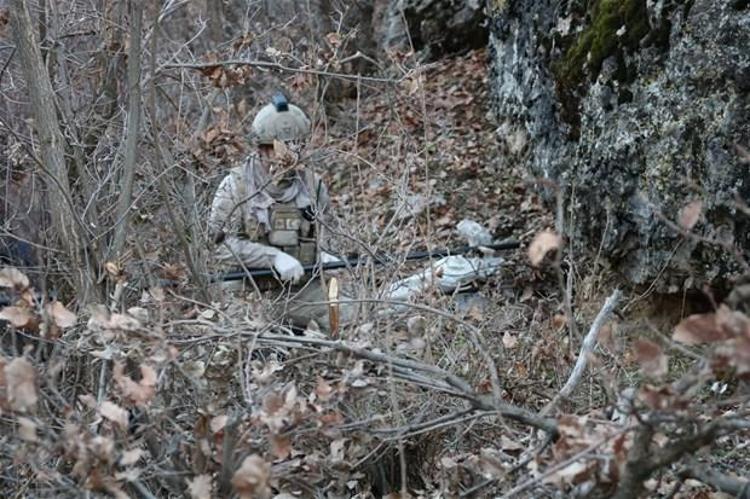 Şırnakta Kıran-9 Cudi Dağı, Hakkaride Kıran-10 Kazan Vadisi operasyonları