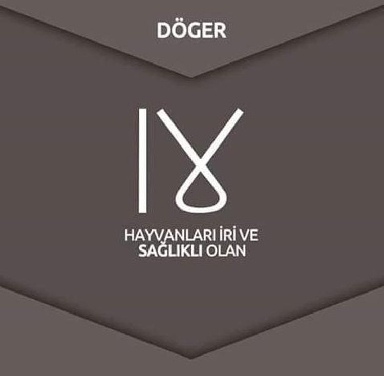 24 Oğuz boyu