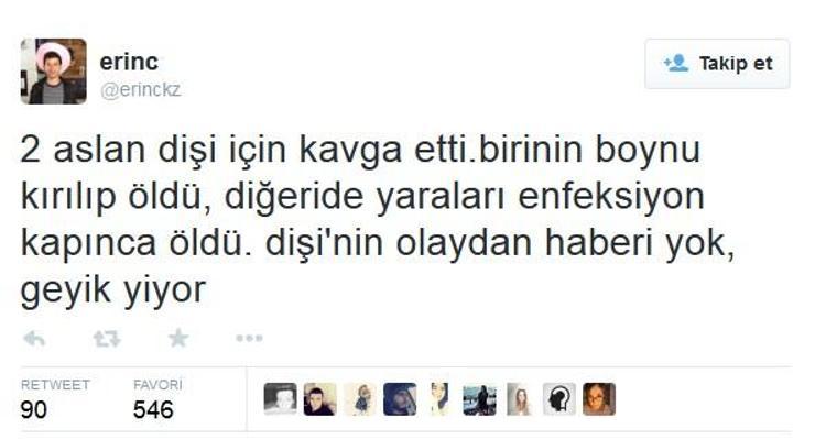 Sosyal medyanın komik akımları