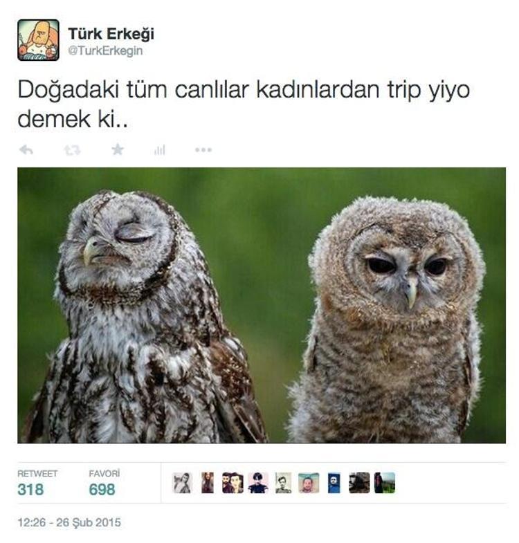 Sosyal medyanın komik akımları